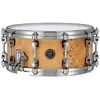 Image de TAMA Starphonic