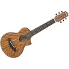 Image de Ibanez EWP14WB-OPN