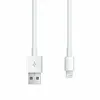 Image de Apple Câble Lightning vers USB - 1m