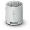 Image de Sony SRS-XB100 - Gris