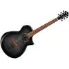 Image de AEWC400-TKS Ibanez