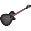 Image de Ibanez AEG70-TCH