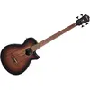 Image de Ibanez AEGB24E-MHS
