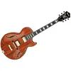 Image de Ibanez AG95K NT