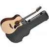 Image de Ibanez AAM700CE NT
