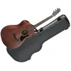 Image de Ibanez AAM740E LG