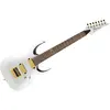 Image de K7YANG Yang Head Korn Signature Ibanez