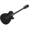 Image de AEG1221-BOT Black Out 12 Strings Ibanez