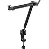 Image de AVerMedia Live Streamer ARM - BA311L