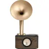 Image de Sangean Euphonic 450 - Bois