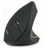 Image de Acer Noire