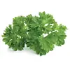 Image de Click and Grow Recharge triple pour Smart Garden Persil