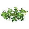 Image de Click and Grow Recharge triple pour Smart Garden Thym