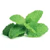 Image de Recharge Menthe poivrée