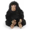Image de Chimpanze Bébé 25 cm