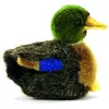 Image de Hansa peluche canard colvert