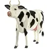Image de Hansa Vache Noire et Blanche