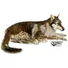 Image de Hansa Peluche géante loup couché - Marron