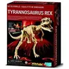 Image de 4M Tyrannosaurus Rex