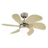 Image de Westinghouse Turbo Swirl - Titane