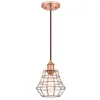 Image de WESTINGHOUSE Suspension Cage Cuivre