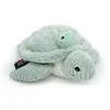Image de Les Deglingos Ptipotos Tortue Géante Maman/Bebe Menthe Vert
