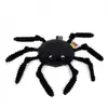 Image de Les deglingos peluche araignée Ptipotos - Noir