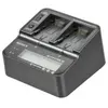 Image de Sony AC-VQV10 Chargeur batteries