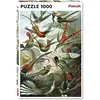 Image de Piatnik Haeckel - Colibris (1000 pièces)