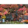 Image de Puzzle 1000 pièces : Automne Piatnik