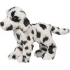 Image de Douglas Dooley Dalmatian