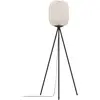 Image de EGLO, Lampadaire, Belgrave (E27)