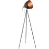 Image de EGLO, Lampadaire, Dundee (E27)