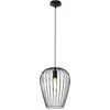 Image de EGLO, Suspension, Newtown (E27)