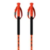 Image de One Way Bâtons Junior Fr Carbon Pro