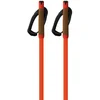 Image de Fischer Bâtons Storm Gtx L