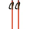 Image de Fischer Bâtons Storm Gtx M