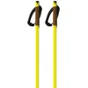 Image de Fischer Bâtons Storm Gtx L