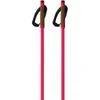 Image de Fischer Bâtons Storm Gtx L