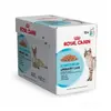 Image de Royal Canin - Sachets Urinary Care en Gelée pour Chat - 12x85g