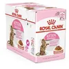 Image de Royal canin kitten sterilised en sauce - lot 12 x 85g