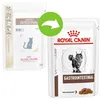 Image de Royal Canin Veterinary Diet Gastro Intestinal - Sachets pour chat - 12 x 85g