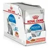 Image de Patee chat royal canin indoor sauce 12x85g ROYAL CANIN 12780102