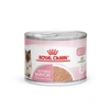 Image de Royal Canin Mother & Babycat ultra tendre en mousse pour chaton - 12 x 195 g