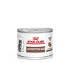 Image de Royal Canin Veterinary Kitten Gastrointestinal Mousse ultra tendre - 12 x 195 g