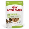 Image de 12x85g Royal Canin X-Small Adult en sauce