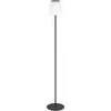 Image de EGLO, Lampadaire, SCORDIANO-L - Stehleuchte mit Akku (220 lm)