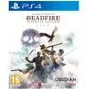 Image de THQ, Pillars of Eternity II : Deadfire - Édition ultime