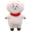 Image de Poupée en peluche BTS Bangtang Boys Van RJ Jim 45 cm