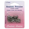 Image de Boutons pression 11 mm couleur argent - Distrifil(...) - Sr Gris